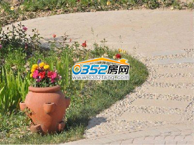 周边环境鸟语花香