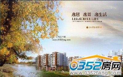 �����ݾ���������