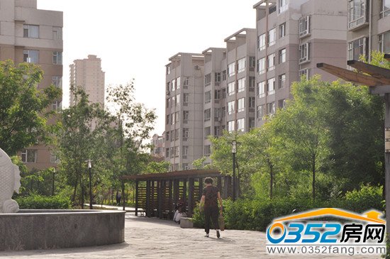 复地紫城物业,活动