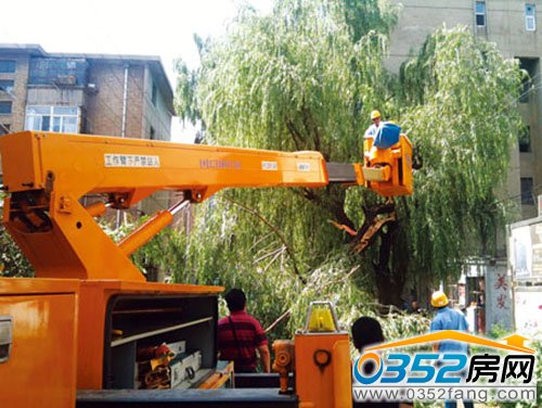 南关住宅小区柳树刮倒引发断电 供电部门全力排除险情