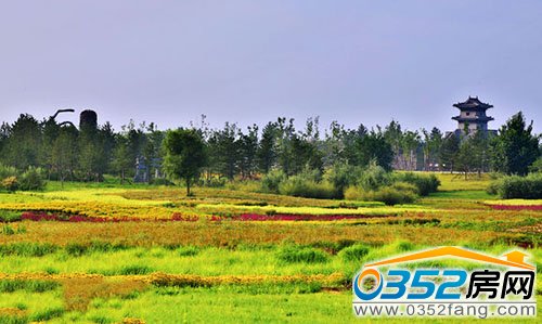 文瀛湖生态绿化充满生机