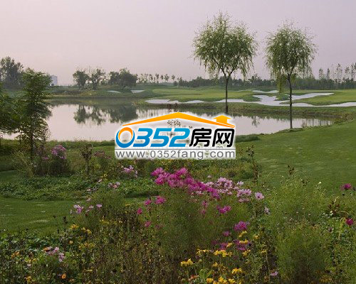 清河湾高尔夫球场美景