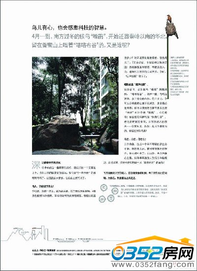 金地香蜜居楼盘广告