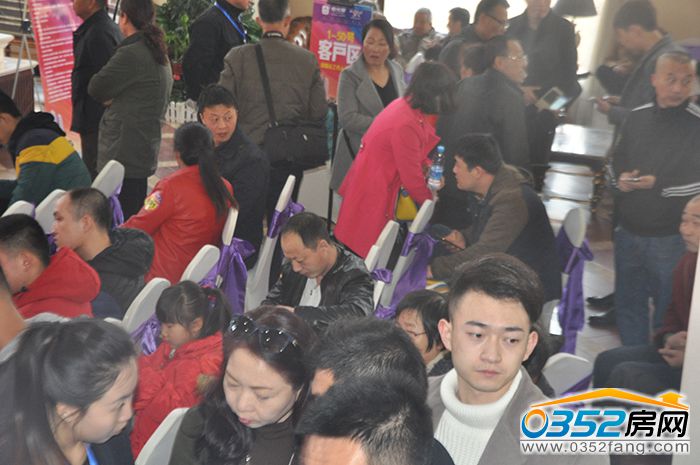 18165613fe71eb50c53374.jpg DSC_0087.JPG