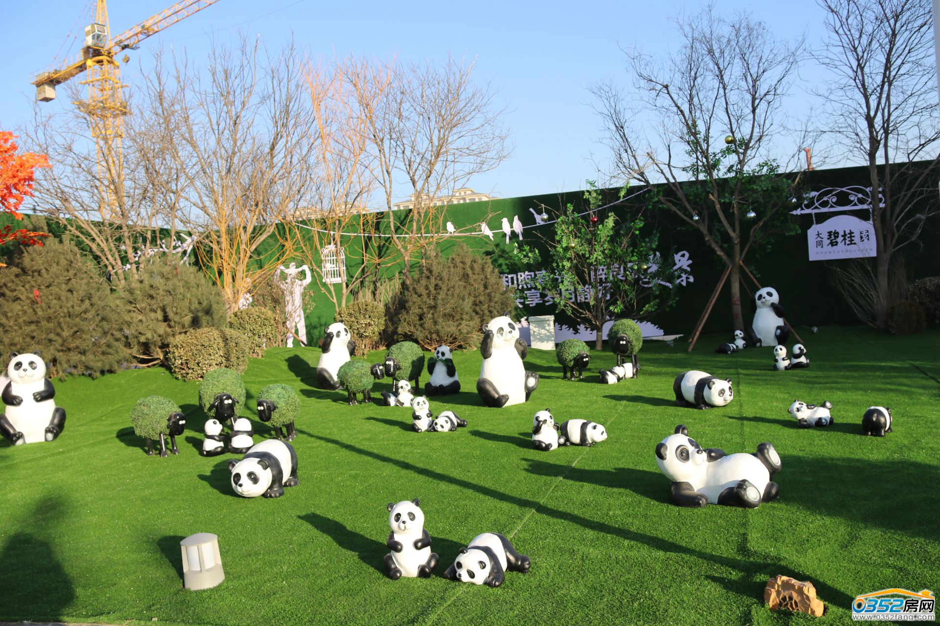 25164618839f60bfae0506.jpg 25164618839f60bfae0506.jpg