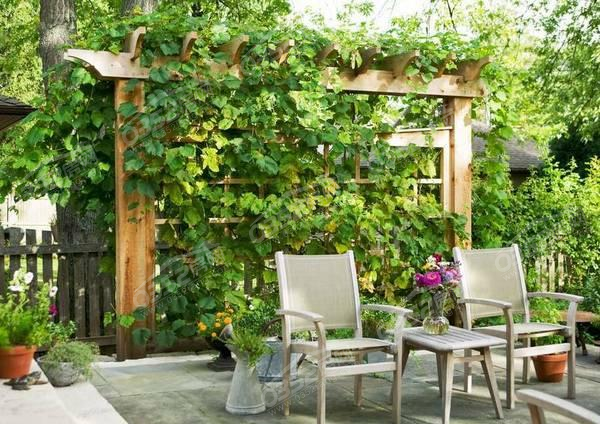 251625314e377f37752436.png 251625314e377f37752436.png