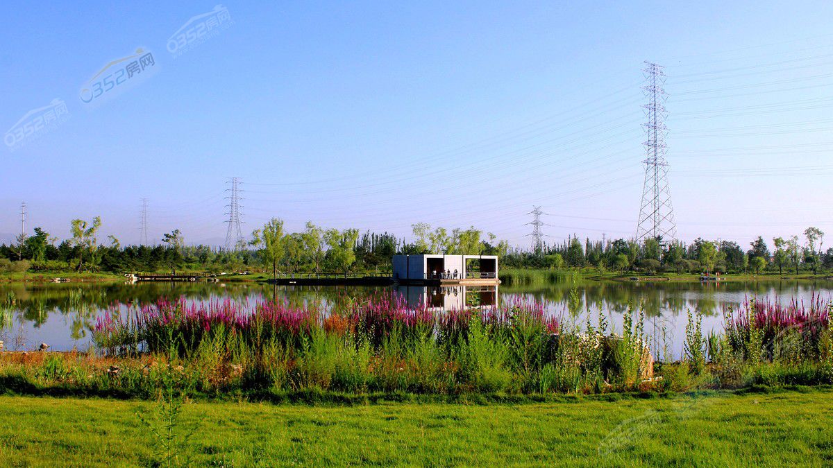 31170744602ad251166514.jpg 31170744602ad251166514.jpg