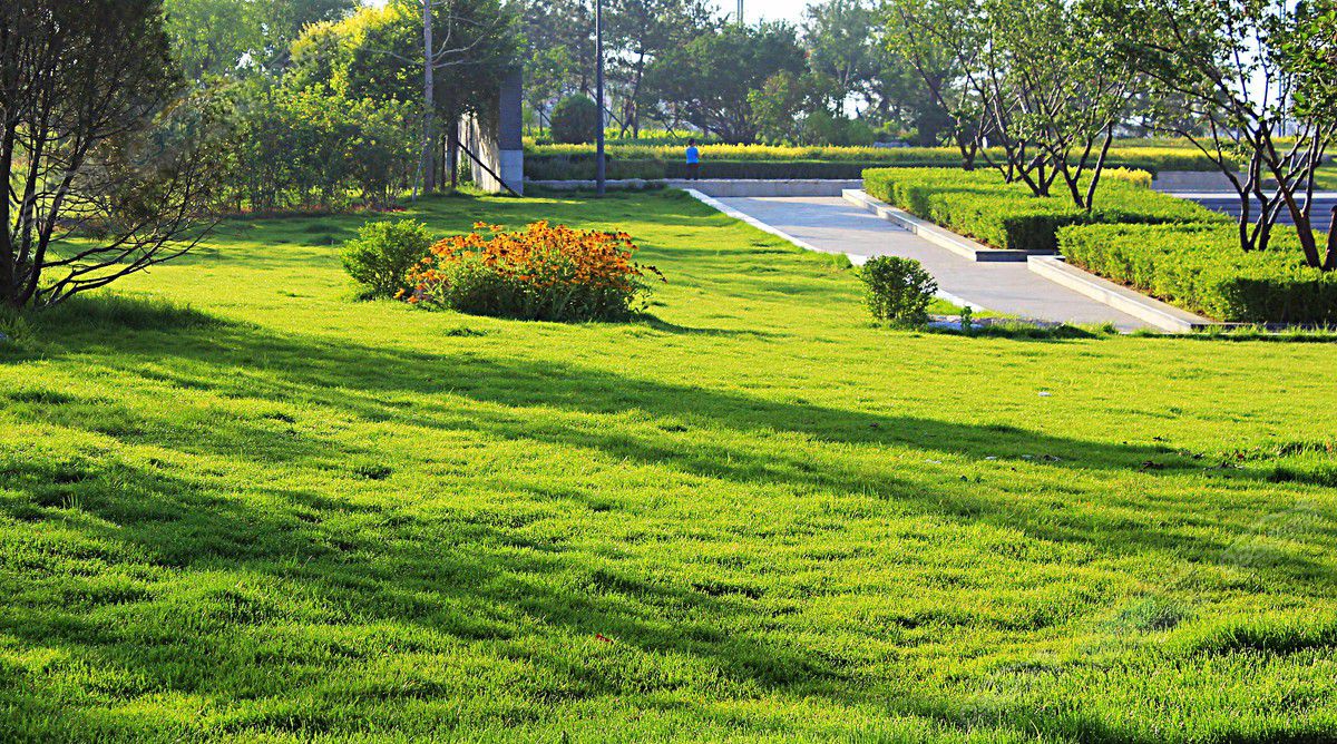 31170744da1e6195a55722.jpg 31170744da1e6195a55722.jpg