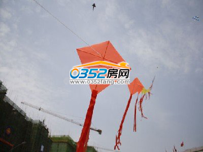 巨型风筝点亮天空