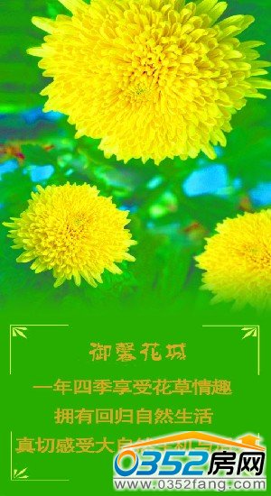 御景花城花海之约