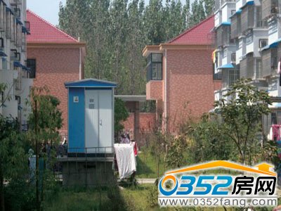 ����С�������������