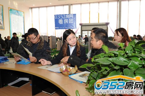 ������ѯ��������