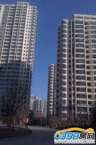 不敢高声,语恐惊天上人