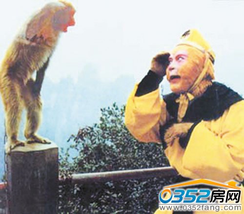 一只猴子把上妆的六小龄童当做猴王