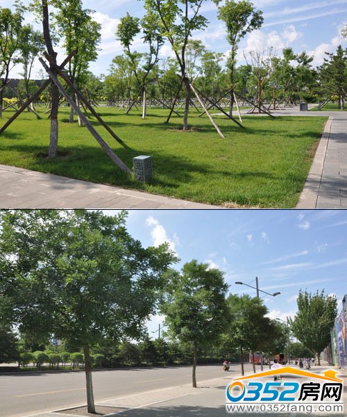 国贸广场周围呈现生态氧吧