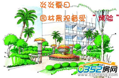 夏日炎炎 园林景观备受“烤验”