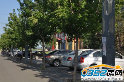 很多市民前来踩点