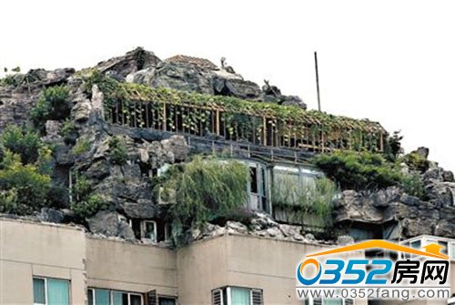 张必清别墅楼顶上方建有假山、葡萄架