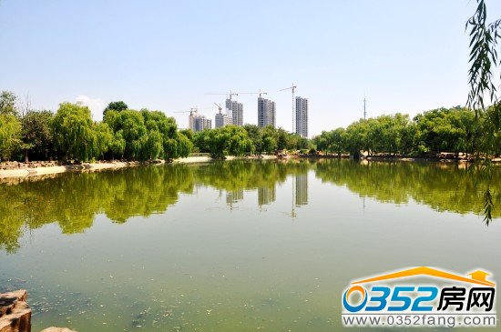 中央美域高层远观实景图