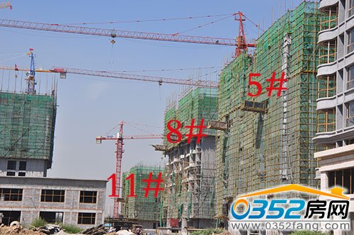 5、8号楼盖至10层,11号楼盖至8层