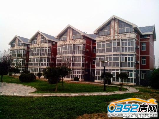 ѳ⴦λ̨ǰԺ쵼“ۡ”“߶˴ϵ”