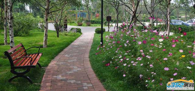 �п�����Է԰������