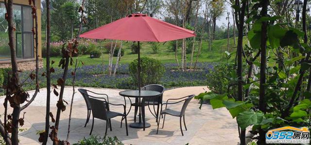 �п�����Է԰����������