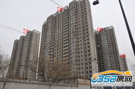 紫润芳庭 紫润芳庭项目1、2、5、6、7#封顶建设中