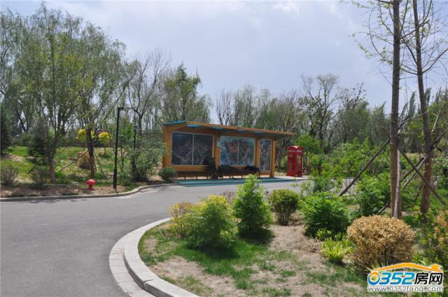 5��21���п�����Էͣ����ʵ��ͼ