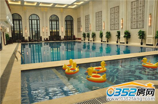 江鸿会所内游泳池实景图