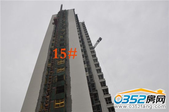 15¥Χڹ
