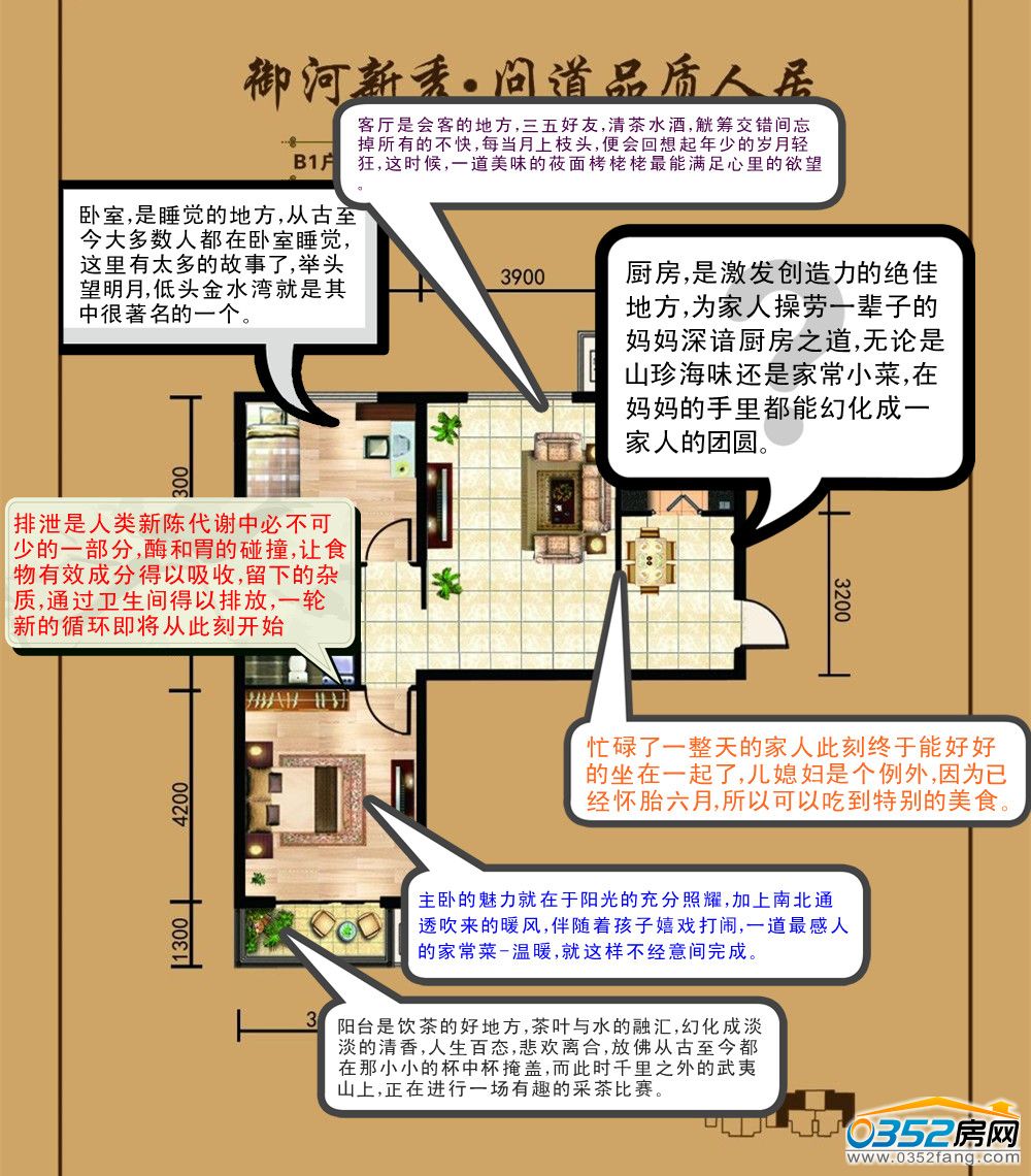 舌尖体户型说明书-金水湾B1