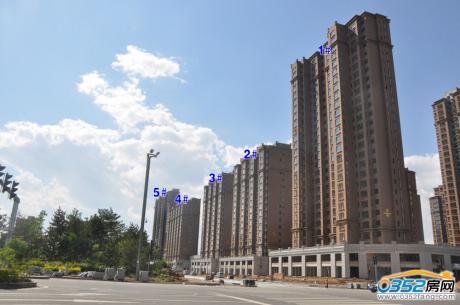 ˮ԰1-5¥ʵͼ2014.8.14