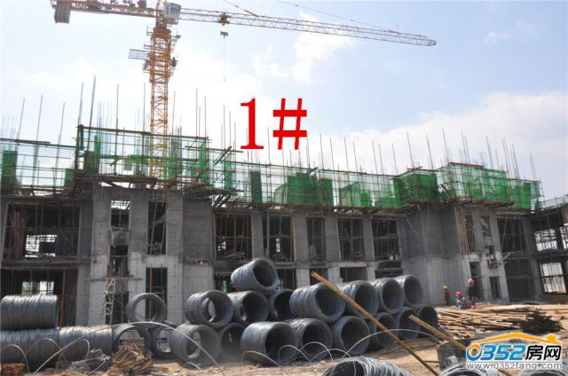 ͩԷ1#48ʵͼ