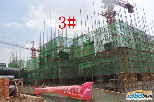48ͩԷ3#ʵͼ