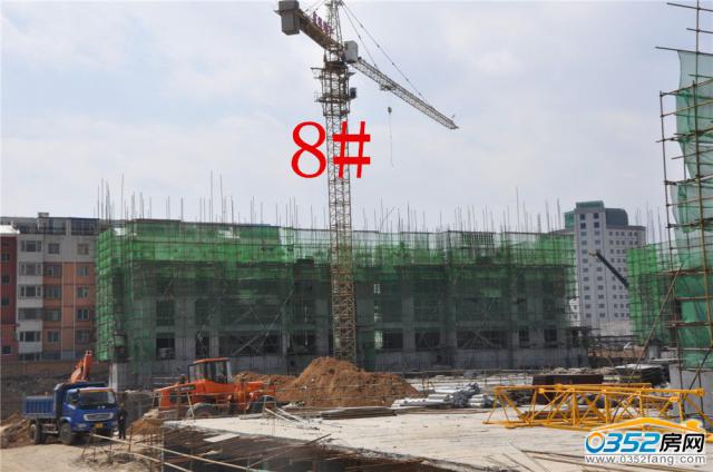 48ͩԷ8#ʵͼ