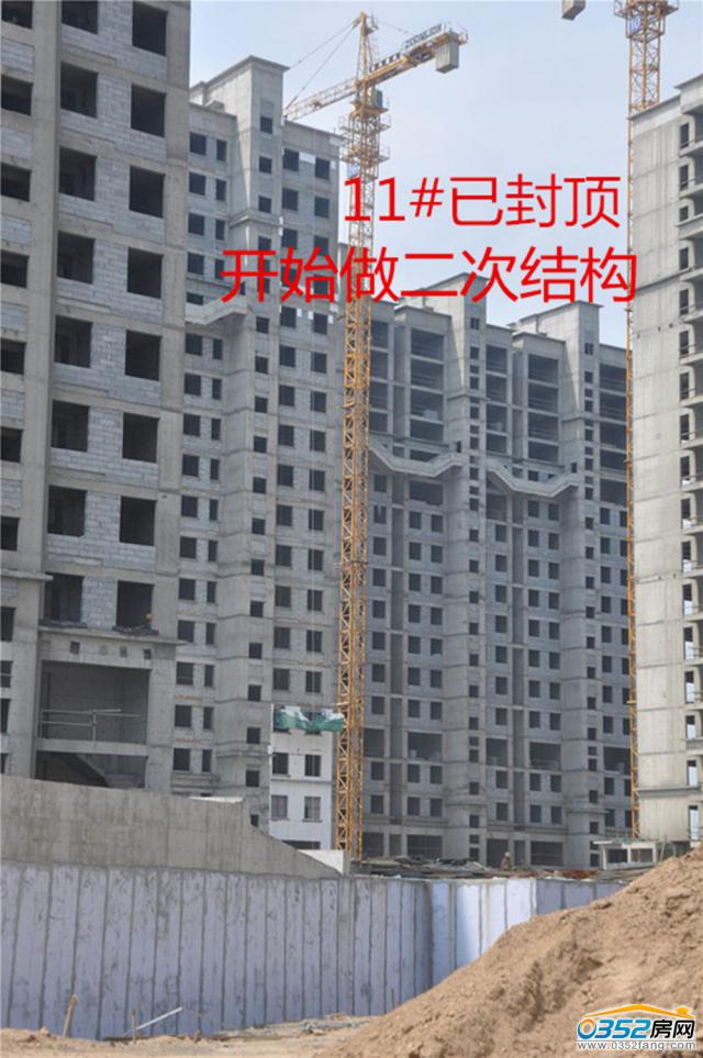 Ǻ11#̽