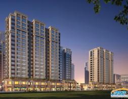 �������Ǻ�����