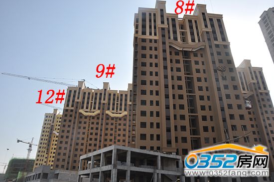 16160402ebd6239a7f3176.jpg 8912.JPG