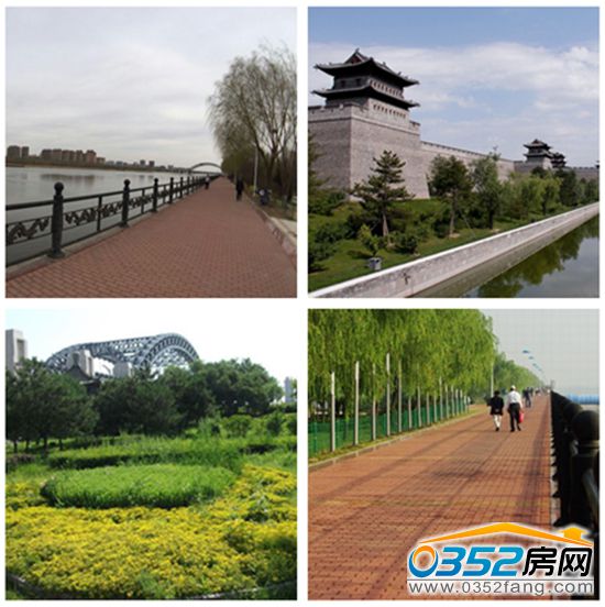 261506202c0ff6f0646986.jpg 3.jpg