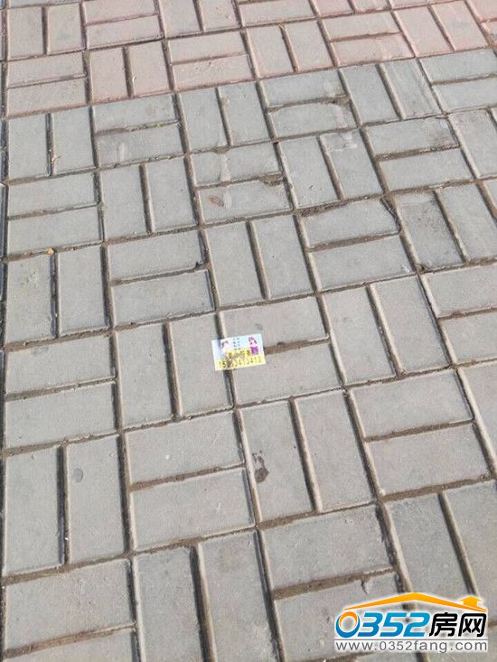 1311261255c77a67828116.jpg QQ图片20160412090231.jpg