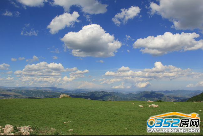 221722100aeedfc2718955.png 2288.tm.png