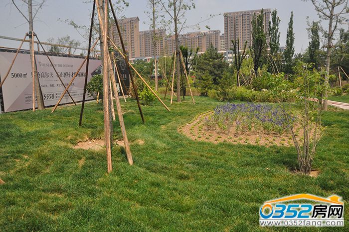 07163351ac8bec36f48860.jpg 绿色.jpg