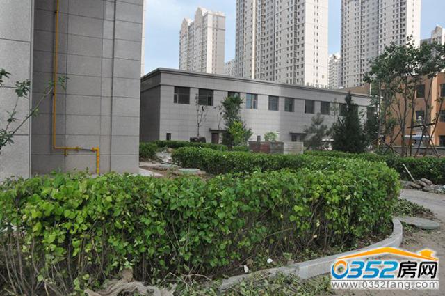 小区绿化2016.7.22