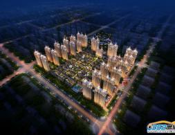 �̵������