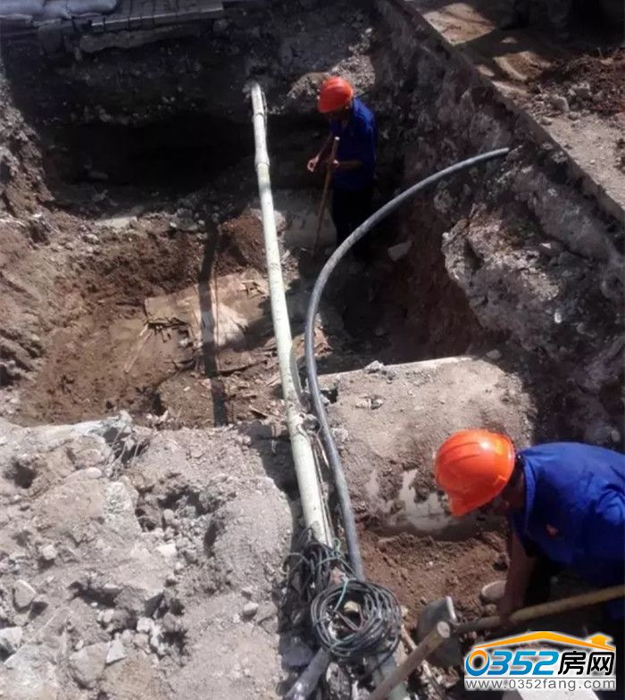 171510314f941a5dad2485.jpg 640.webp.jpg