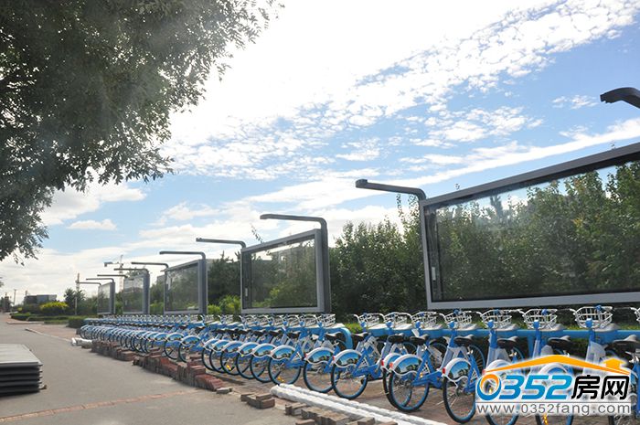 2517053211a56b2d978789.jpg 自行车.JPG