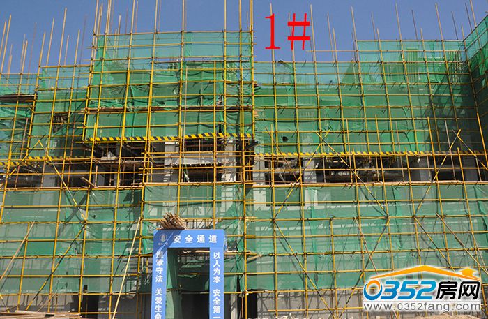 08165736897bf9c8489884.jpg DSC_0016.JPG