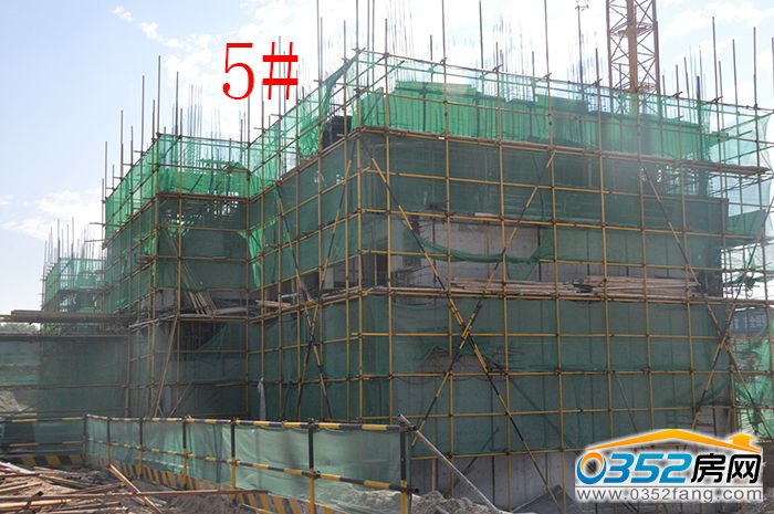 08165849cb24c877b36146.jpg 5.JPG