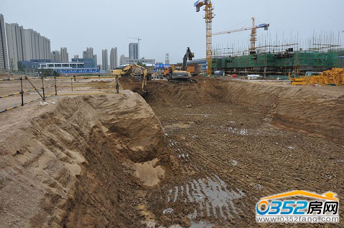 1716233624d9eb6e448402.jpg 8.JPG